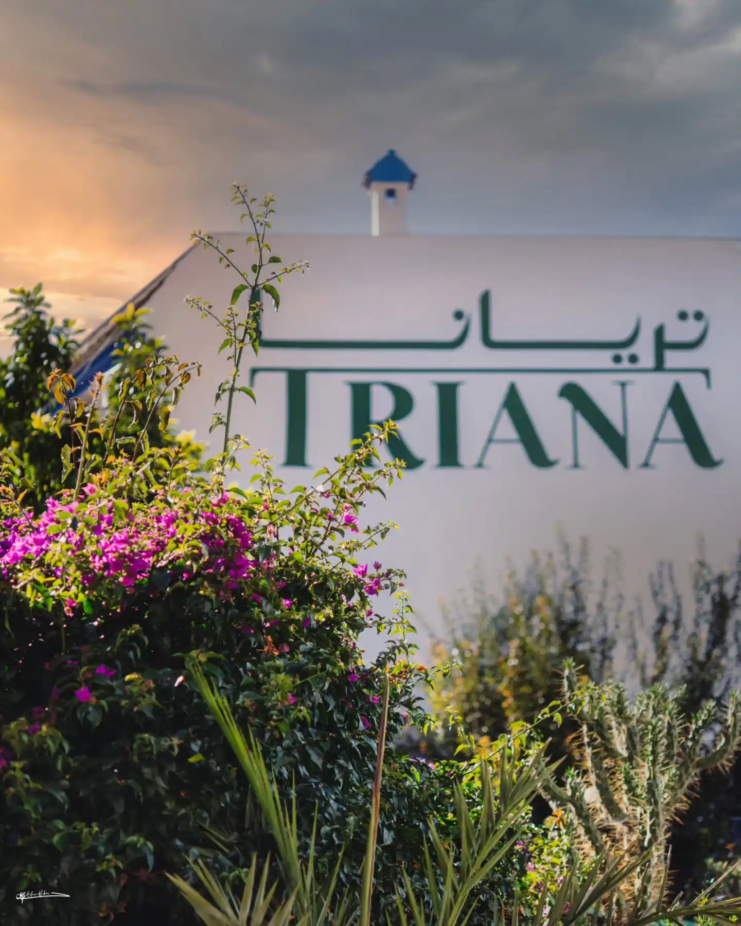 Chefchaouen Blue Streets